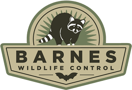 Smithereen's fully licensed and experienced wildlife service teams understand both the needs of the customer and the nuisance animal. Wildlife Removal Damage Repairs Barnes Wildlife Control Dayton Oh
