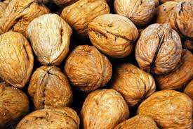 Nuts.com has been visited by 10k+ users in the past month Chilean Start Up Creates Bioplastic From Walnut Waste