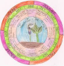 Phenology Wheels Earth Observation Where You Live