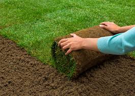 The establishment of your new sod lawn is easy. Watering New Sod Greenlawn Sod