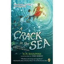 Rowling books, and he says: A Crack In The Sea By H M Bouwman Paperback Target