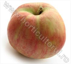 Aceste doua aspecte trebuie luate in calcul in momentul in care merele sunt consumate. Soiul De Mar Wagener Premiat Horticultorul Ro