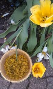 An Ode To Kitchari Ayurveda S Grossest Looking Best Healing Miracle Food Kitchari Ayurveda Recipes Ayurvedic Recipes