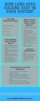 It is estimated to remain in one's system anywhere from 3.3 to 5.5 hours. How Long Does Cocaine Stay In Your System Addictionblueprint