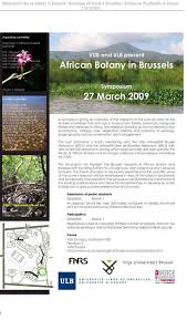 Image result for Cynorkis symoensii