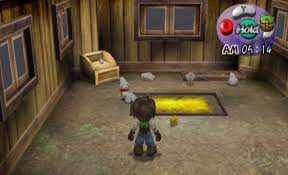 A wonderful life will span a lifetime on the farm and follow the drama that goes with it. Chicken Awl The Harvest Moon Wiki Fandom
