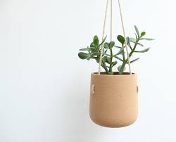 Hanging planters are perfect for small, compact spaces, as it. 18 Best Hanging Planters Baskets For Indoors And Outdoors Architectural Digest