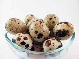 anese quail eggs you