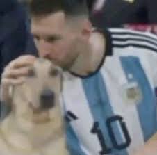 Sam Ibarra (samyDlady)