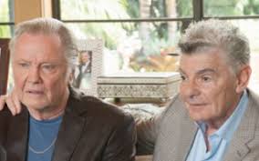 Sunny Recap: Ray Donovan