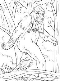 There are tons of great resources for free printable color pages online. Coloring Pages For Kids