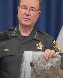 Brett Rickard (@buzzatc)