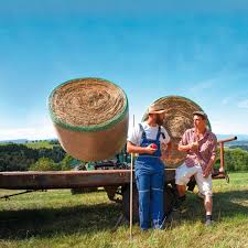 Schon vor jahren haben die schrozberger beschlossen, ihr städtchen im landkreis schwäbisch hall in ein schmuckstück zu verwandeln: Schrozberger Milchbauern Posts Facebook