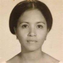 Elena Barreto Obituary