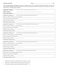 Onion cell mitosis worksheet answers | akademiexcel.com : Mutations Worksheet