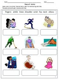 Match the words with the definitions. My Body Internal Organs Bones Joints Muscles Worksheets For Grade 2 3