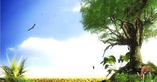 We did not find results for: Nature Wallpaper Set Free Download