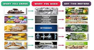 How To Stop Food Cravings Make Your Body Work