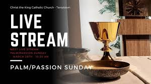 (4.4) out of 5 stars 70 ratings, based on 70 reviews. Diy Aerogarden Plug Replacement Youtube