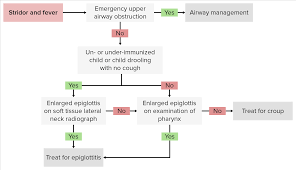 Image result for Epiglottitis