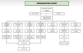 40 Conclusive Company Employee Structure Chart