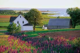 東カナダ周遊とプリンスエドワード島の旅【10日間】 | ワールド航空サービス