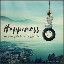  Happiness Is Enjoying The Little Things In Life Tiny Buddha Little Things Quotes Enjoyment Happy Quotes