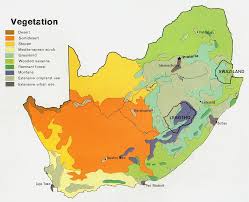 Discover the magic of the internet at imgur, a community powered entertainment destination. Maps Of South Africa Vegetation Map Mapa Owje Com