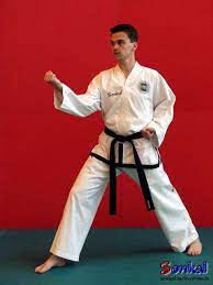 So i study and teach wado ryu and in that katas we practice there isn't a single inner block. Soo Shim Kwan æ°´å¿ƒé¤¨ìˆ˜ì‹¬ê´€ Some Thoughts On The Double Forearm Block