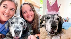 Cagnolina di 19 anni ha un mese di vita ma viene adottata e “rinasce”:  «Esaudiremo i suoi ultimi desideri»