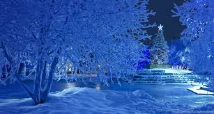 House snowy christmas landscape fir tree at night and big moon. Pictures Snowy Christmas Backgrounds Desktop Background