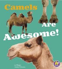 What might be a plausible reason why the androids chased the humans out of town? Camels Are Awesome Awesome Asian Animals Allan Morey 9781491439234