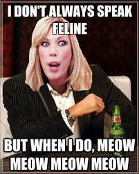 Image 546172 Amy S Baking Company Pr Scandal Amy S Baking Company Tv Shows Funny Baking Company