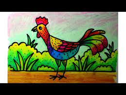 Aneka gambar mewarnai 15 gambar mewarnai ayam untuk anak paud. Cara Mudah Menggambar Dengan Krayon Oil Pastel Untuk Anak Sd Ayam Jago Versi Cepat Youtube