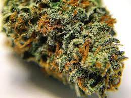 From good chemistry!if you liked the video please subscribe! Wedding Cake Kush Masters Live Diamonds Wolfpac Cannabis