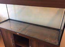 This demo uses the canvas element to draw fish swimming in a fish tank. 5 Fun Ways To Recycle Your Fish Tank Waste Advantage Magazine