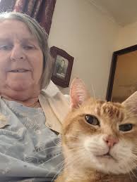 Evening everyone. She got up in the end from under the blankets. It must  have been warm under there. She emerged around 1pm , had her lunch and  promptly put herself back