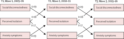 Social Disconnectedness Perceived Isolation And Symptoms Of Depression And Anxiety Among Older Americans Nshap A Longitudinal Mediation Analysis The Lancet Public Health