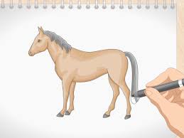 Como Desenhar Um Cavalo Simples Com Imagens Wikihow #desenhos #desenhoscolorir #desenhododia #desenhista #desenhando #desenhar #pokemonart #pokémon #anime #pensamentos #criatividade #crianças #leitura #aprenda. como desenhar um cavalo simples com