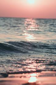 Beautiful Free Images Pictures Unsplash Wallpaper Iphone Summer Paesaggi Fotografia Natura