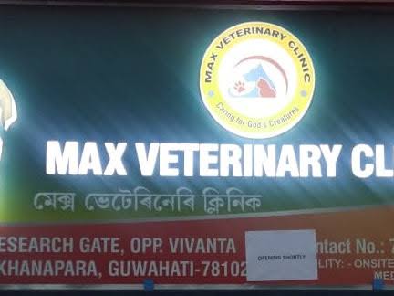 GROOMING ,BATHING HAIR CLIPING ETC STARTED ALONG WITH DIAG product image