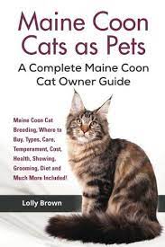 Pin On Cat Health Care