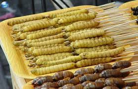 Sep 24, 2020 · kumpulan resep masakan anti gagal dan kekinian. Laris Manis Siapa Sangka 6 Makanan Aneh Ini Terbuat Dari Ulat