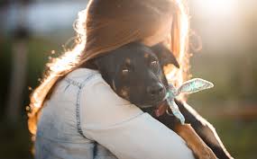 Free emergency pet care near me. Non Critical Emergency Vet In Sewell And Deptford Nj Pet Check