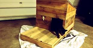 Cat House Made From Recycled Wood Pallets The Good Human Cat House Outdoor Cat House Cat House Diy