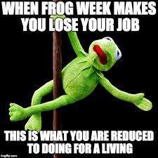 Get inspired by our community of talented artists. Kermit Pole Dance Memes Imgflip