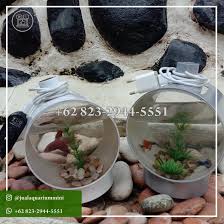 Pin Di Harga Aquarium Mini Plastik