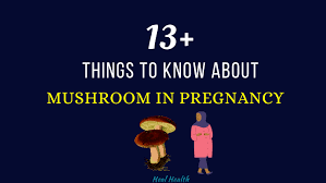 Can Pregnant Women Eat Mushroom In Pregnancy Safe Or Not Healhealth In