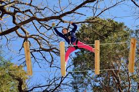 Dallas drainage solutions was created by natural environments to provide a wide variety of drainage services to the dfw area and beyond. Dallas Things To Do With Kids 10best Attractions Reviews