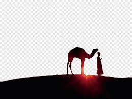The camel's toe | gnostic bent. Ramadan Kareem Advertisement Ramadan Greeting Card Islam Eid Mubarak Desert Camel Horse Animals Png Pngegg